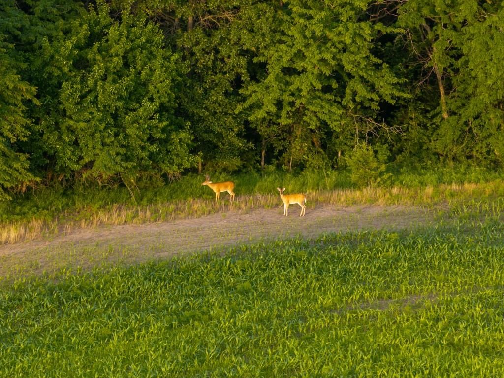 NE Marshall Road — photo 42