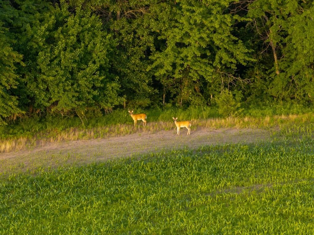 NE Marshall Road — photo 43
