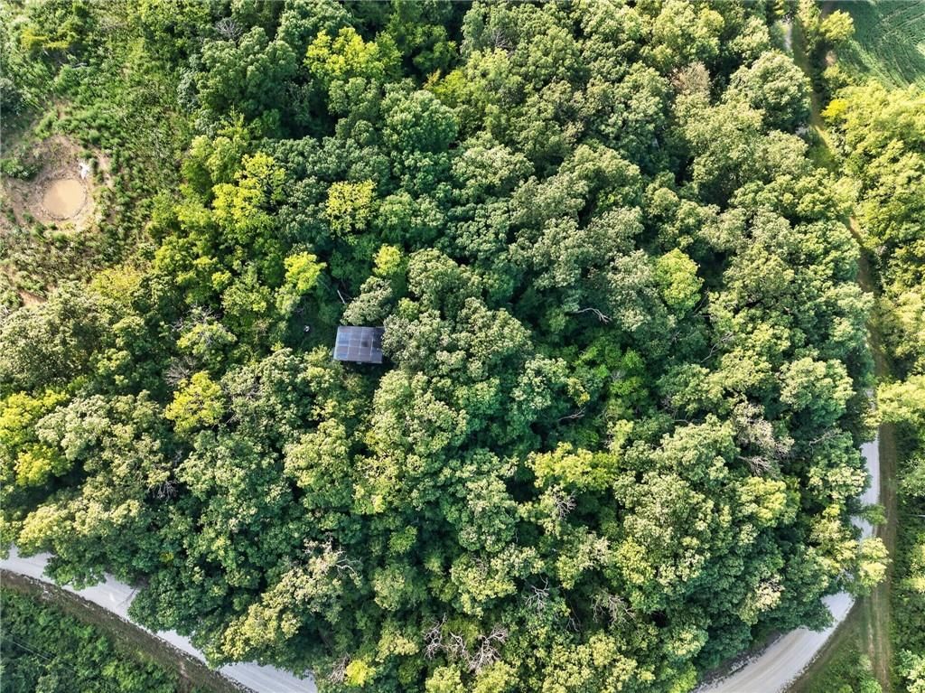 15086 Hartman Road — photo 25