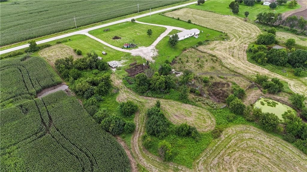 39541 Jingo Road — photo 4