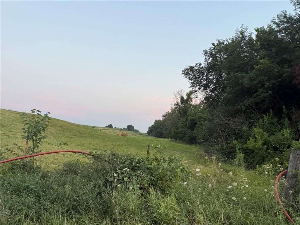 5612 Texas Prairie Road — photo 4