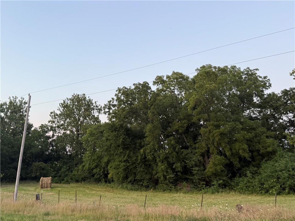 5612 Texas Prairie Road — photo 5