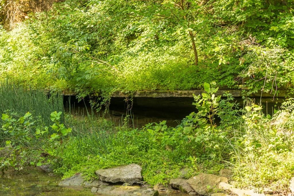 Lot 1 NW 188th Street — photo 14
