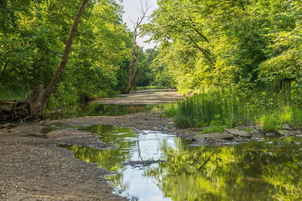 Lot 1 NW 188th Street — photo 15