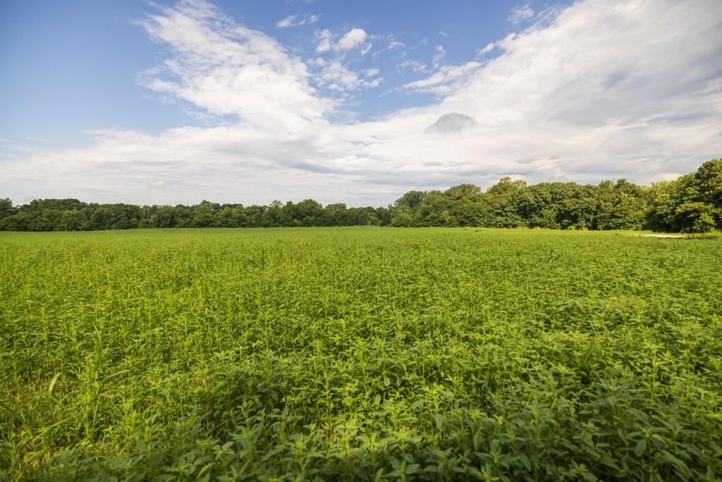 Lot 1 NW 188th Street — photo 19