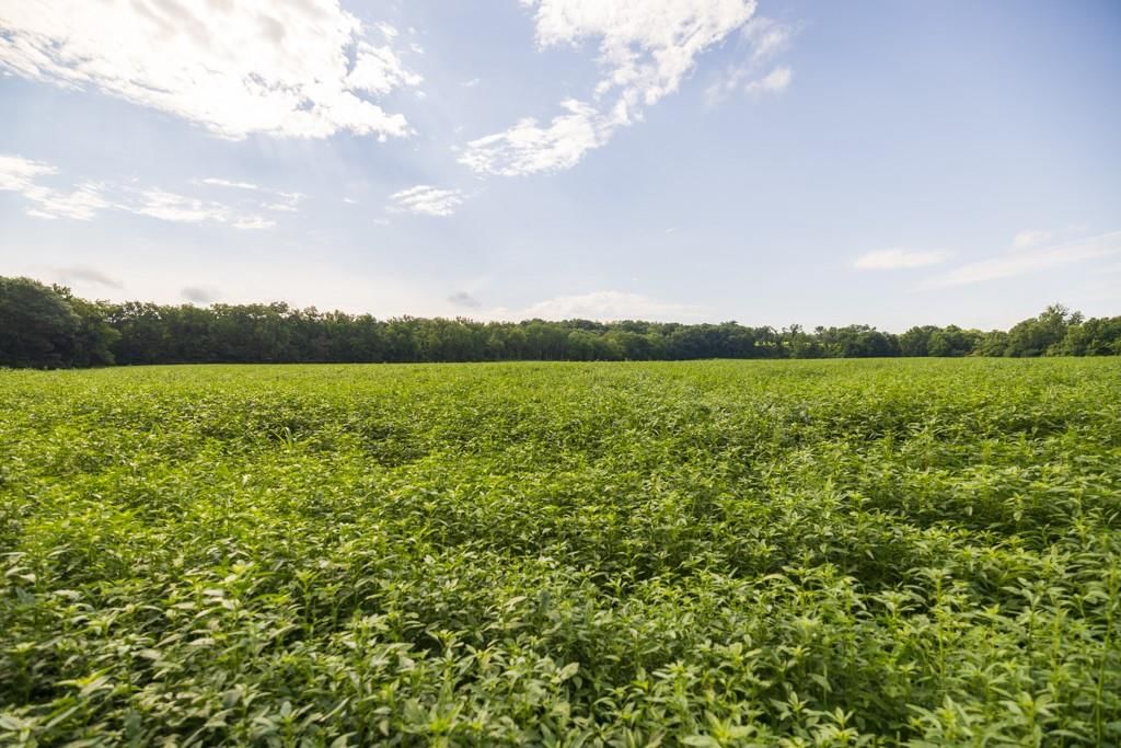 Lot 1 NW 188th Street — photo 20