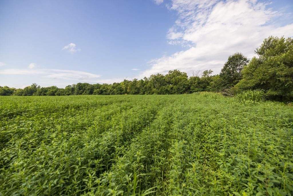 Lot 1 NW 188th Street — photo 21
