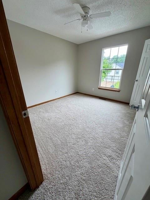 1704 N LAZY BRANCH Road — photo 6
