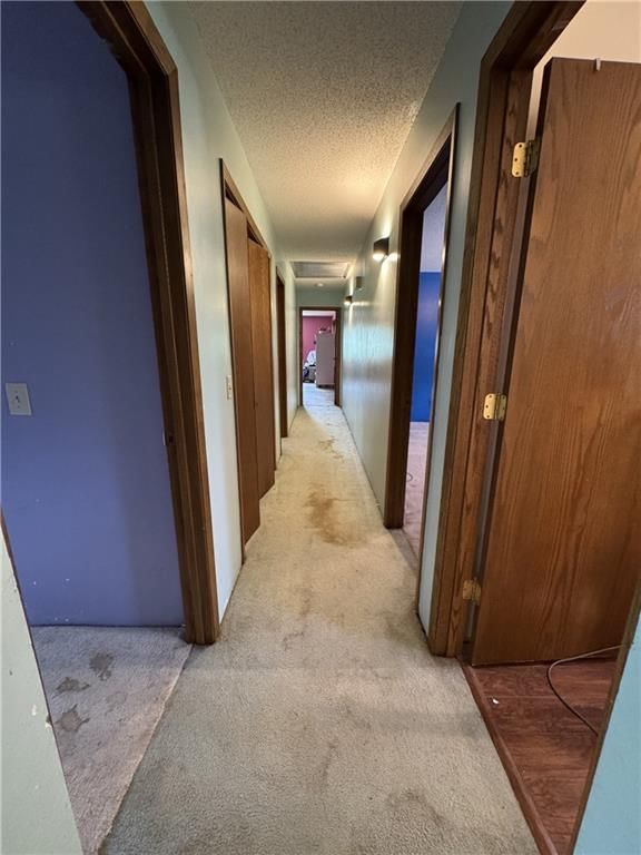 5507 Woodbine Road — photo 23