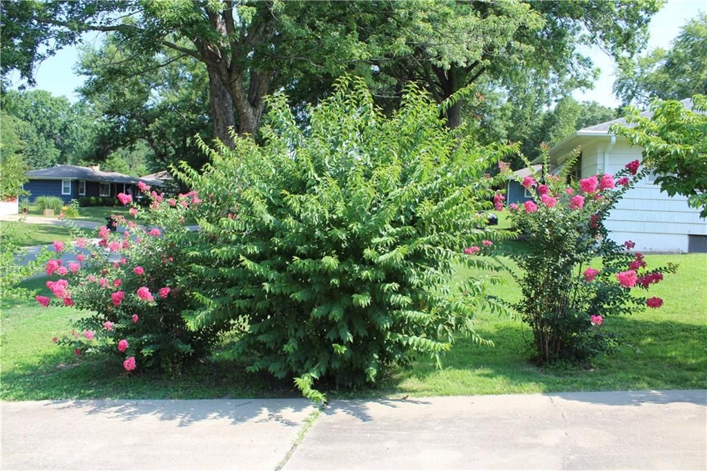 2405 S Ellison Way — photo 7