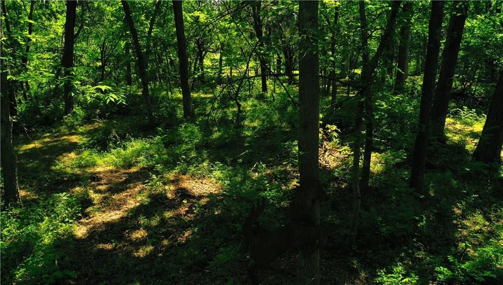 Photo 8 of 19 - 10188 State Route 7 Highway, Lee's Summit, MO 64086