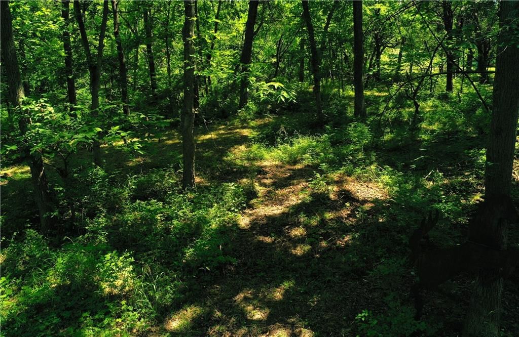 Photo 9 of 19 - 10188 State Route 7 Highway, Lee's Summit, MO 64086