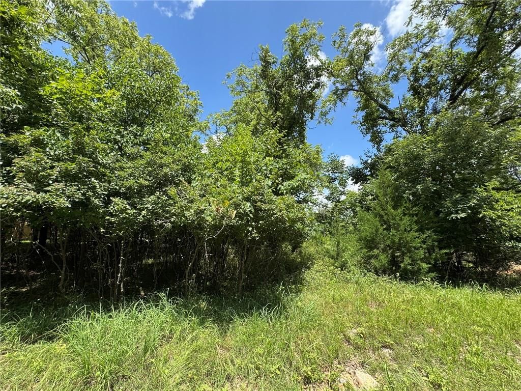 5 Shady Hollow Drive — photo 4