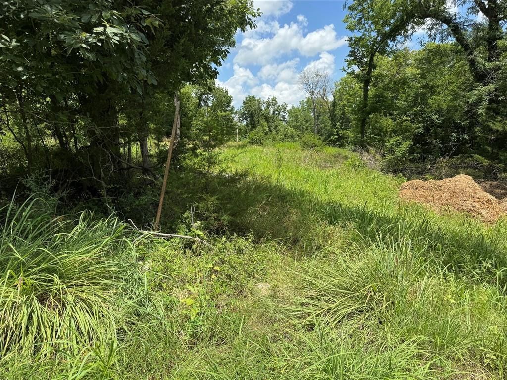 5 Shady Hollow Drive — photo 5