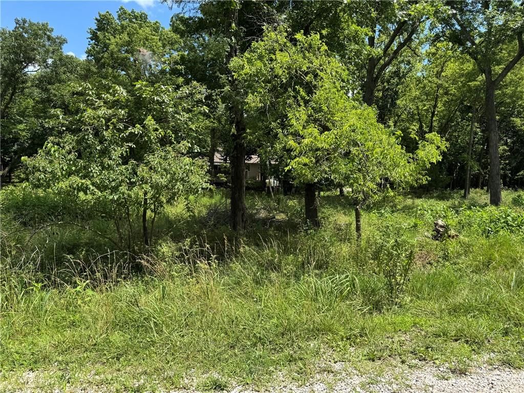 5 Shady Hollow Drive — photo 6