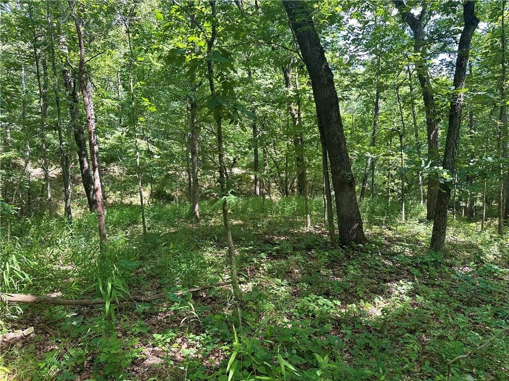 Ervin Lane — photo 10