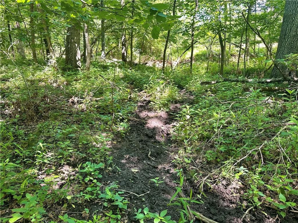 Ervin Lane — photo 16