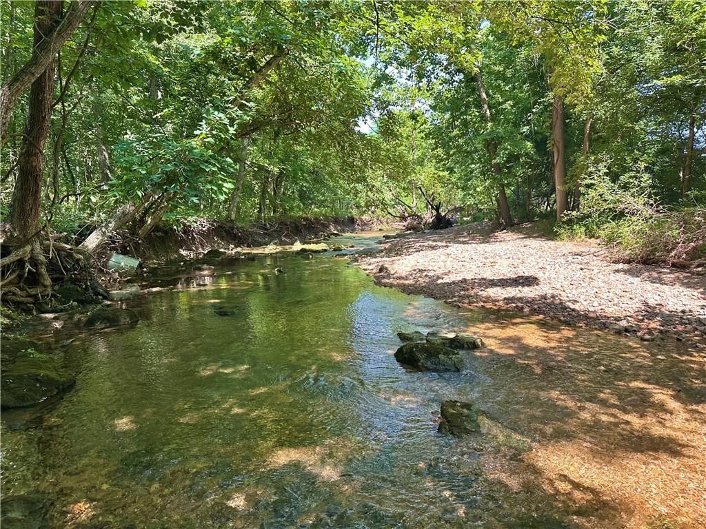 Ervin Lane — photo 17