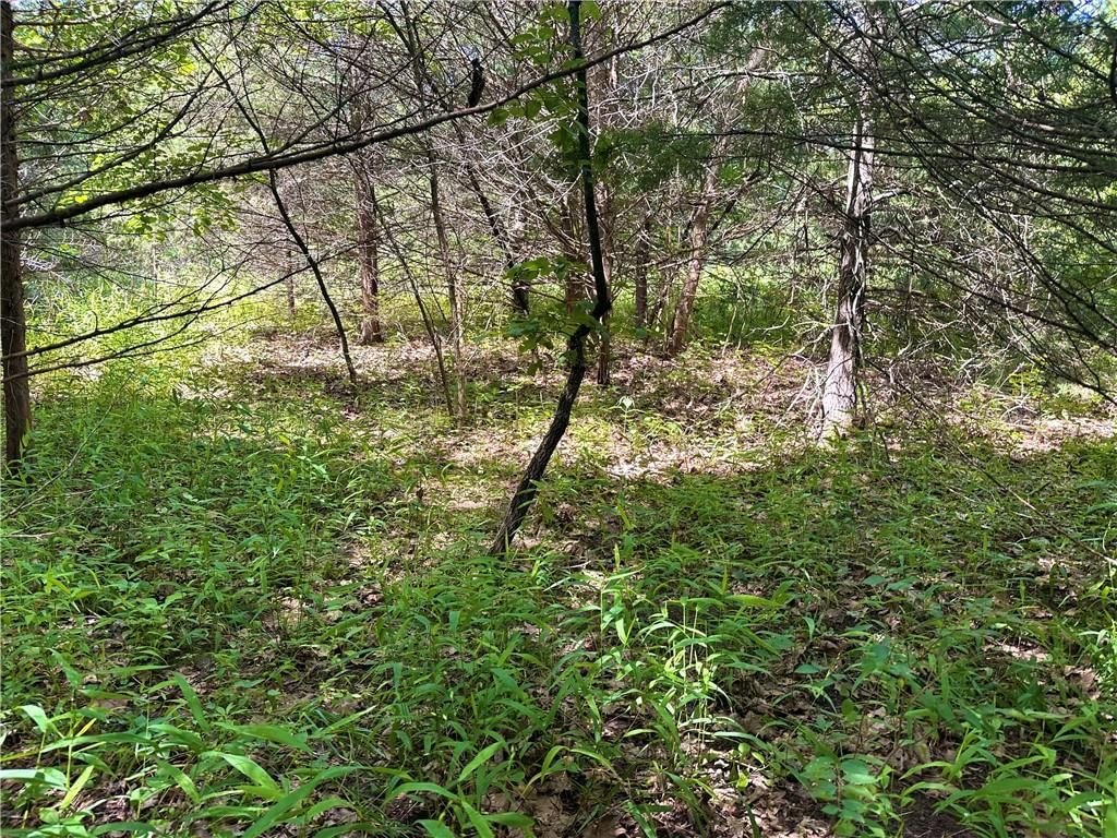 Ervin Lane — photo 24