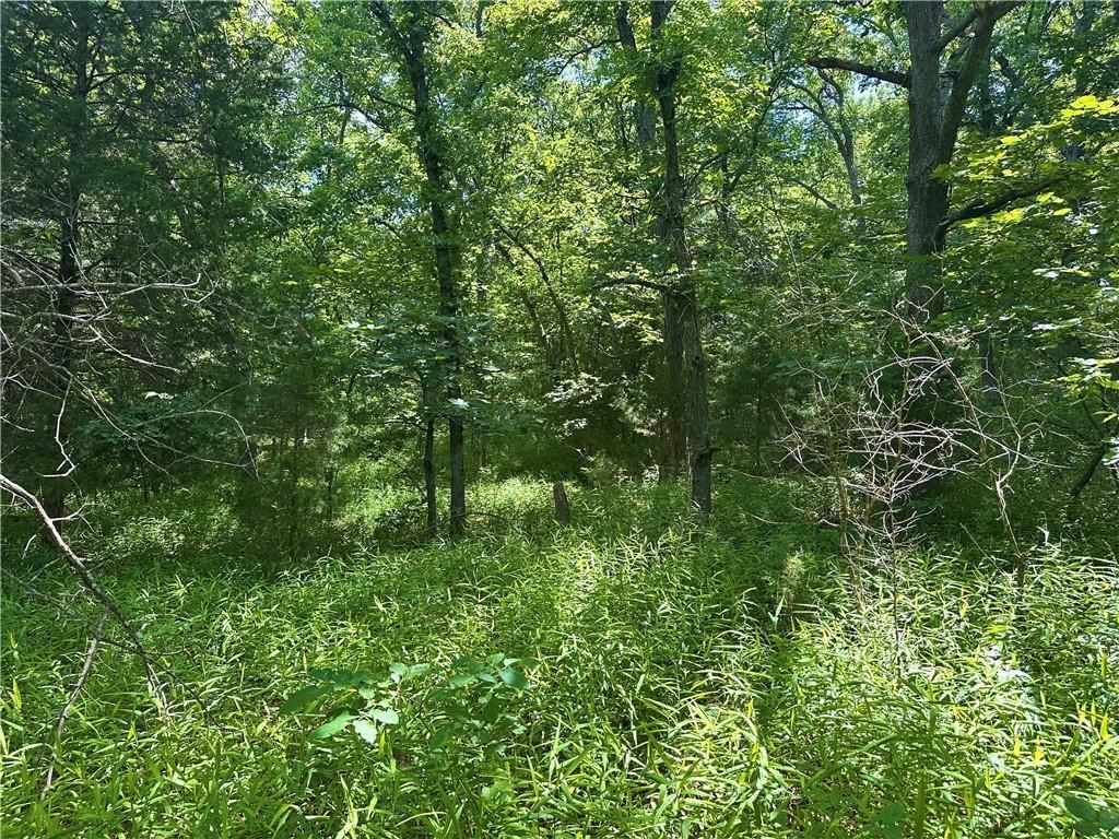 Ervin Lane — photo 27