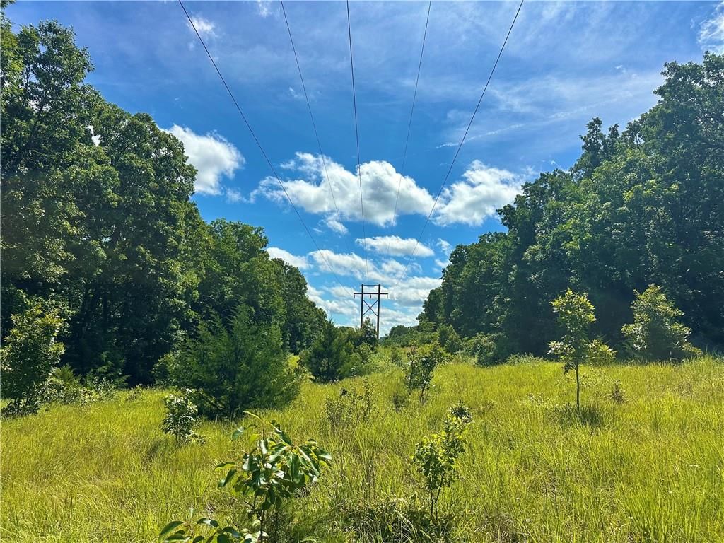 Ervin Lane — photo 51