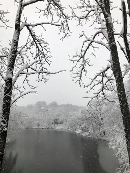 4721 Black Swan Drive — photo 97