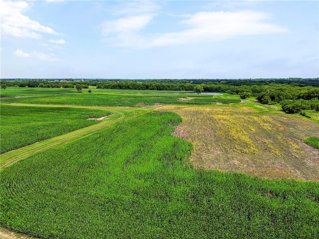 61 Acres Tract 3 291 Highway — photo 14