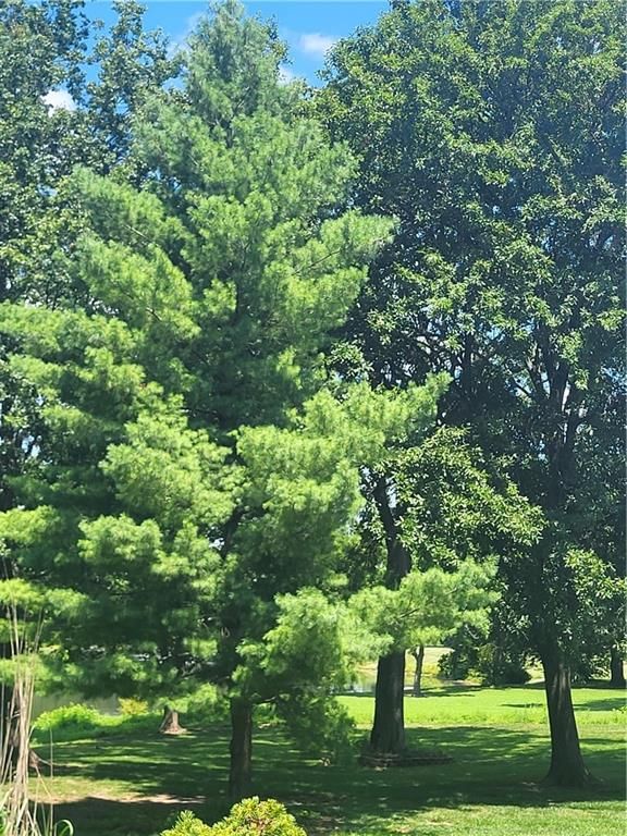 822 SW Lighthouse Point — photo 4