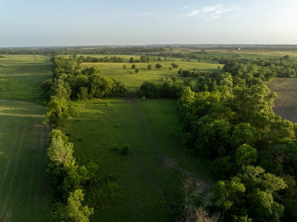20731 Cowsert Drive — photo 19