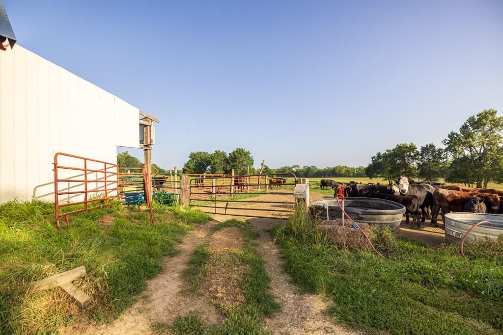 20731 Cowsert Drive — photo 97