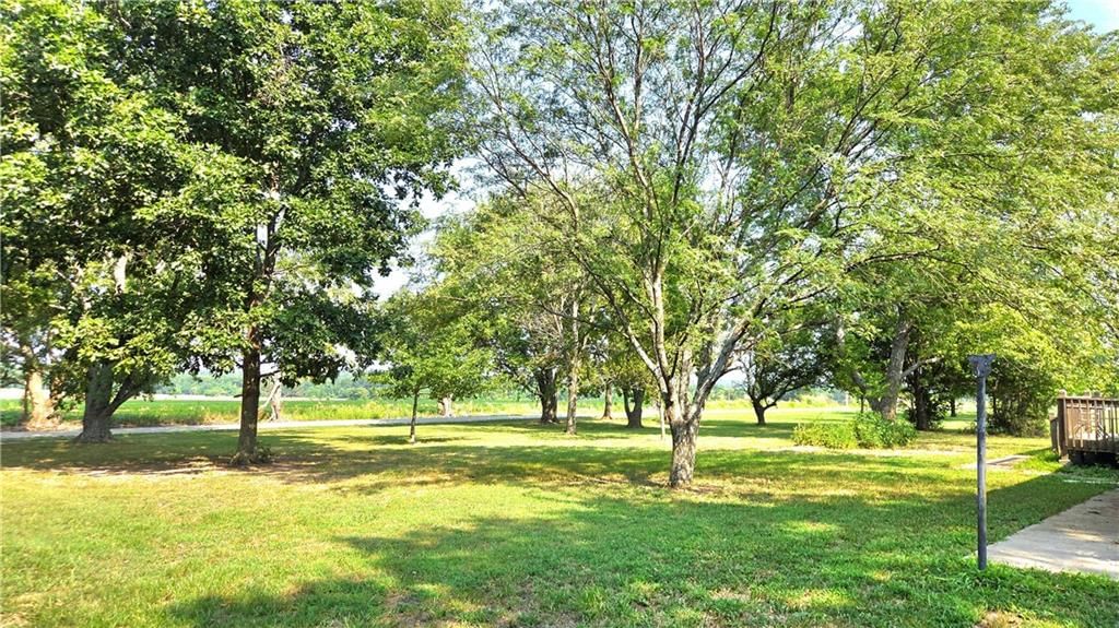 10753 Scott Road — photo 7