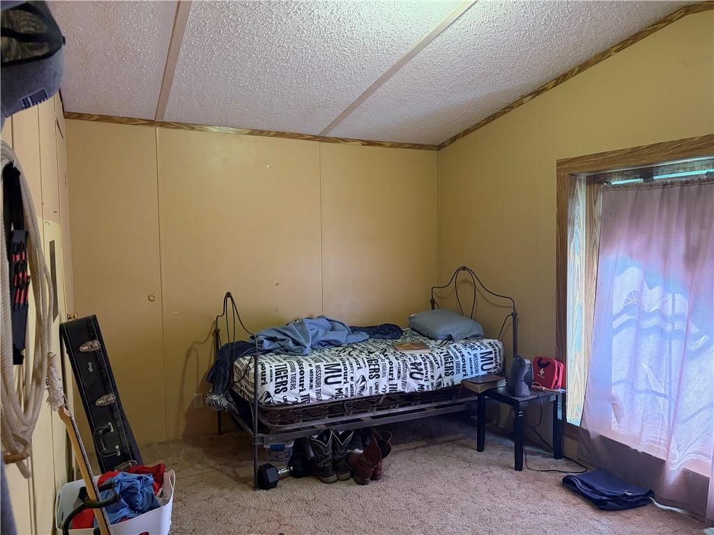 29009 E 315th Street — photo 14