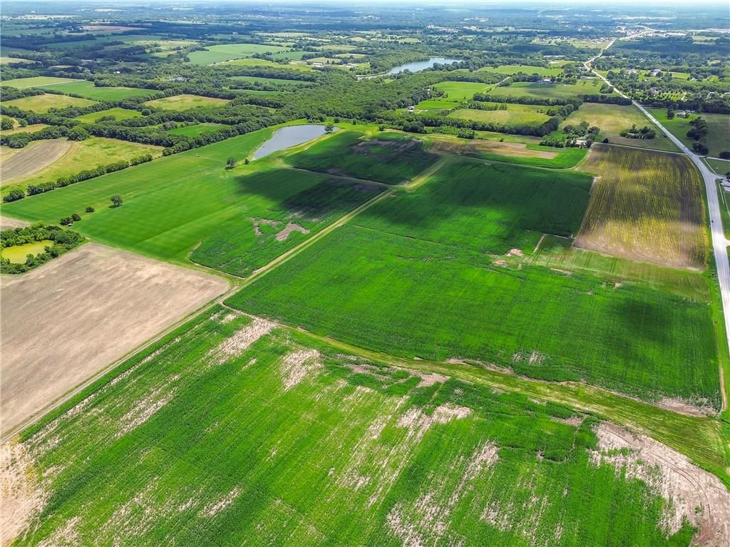 181 Acres 4 Tracts State Rt 291 Highway — photo 7