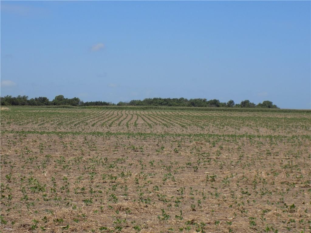 00000 SE 900 Road — photo 17