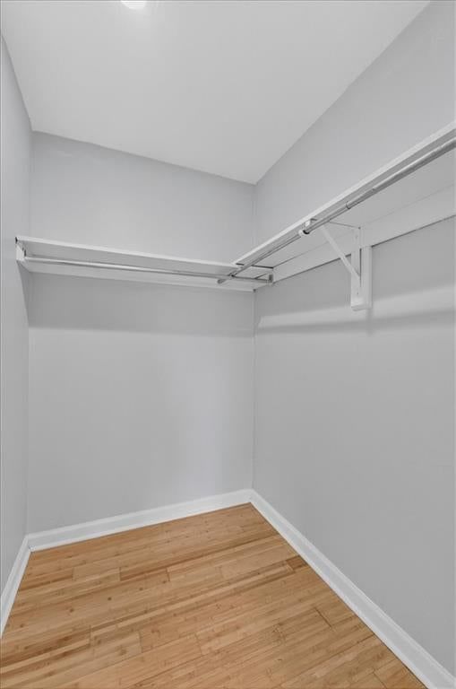 5019 Walnut Street — photo 13