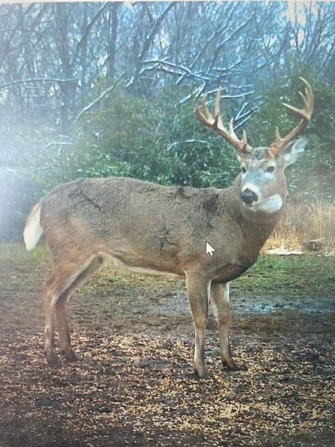 68 Hwy Pleasant Valley Road — photo 13