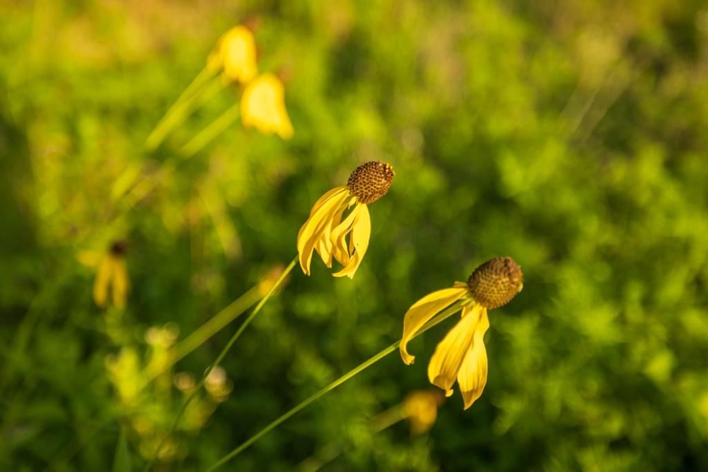 S Famuliner Road — photo 44