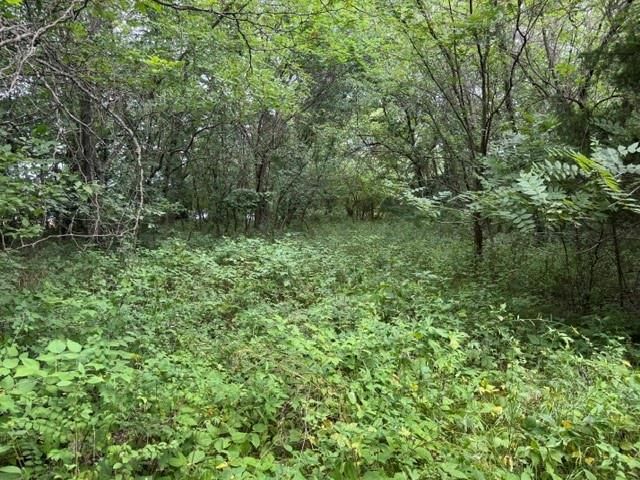 TBD 239th Street — photo 11