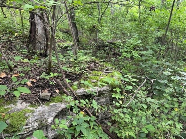 TBD 239th Street — photo 14
