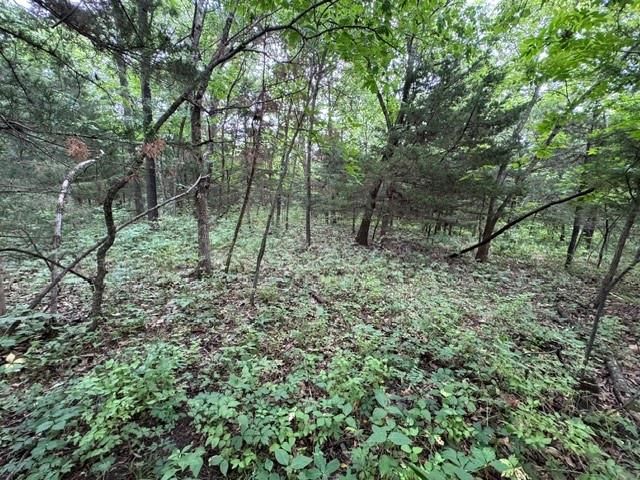 TBD 239th Street — photo 16