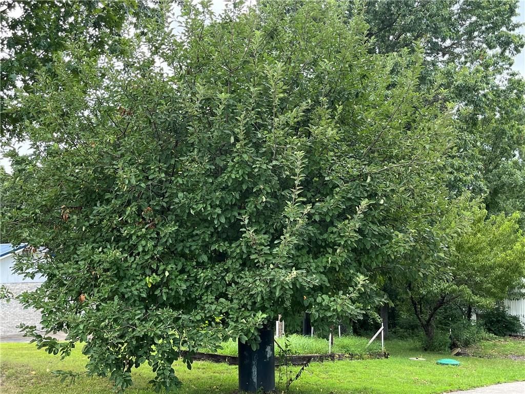 128 Jh Williamson Jr Court — photo 18