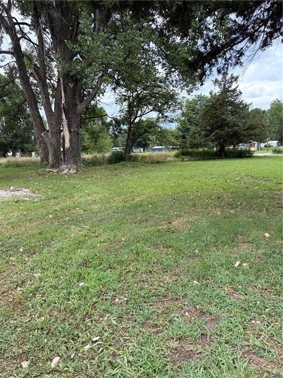86 Mine Creek Avenue — photo 5
