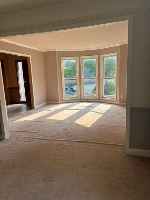 8206 Alden Street — photo 1
