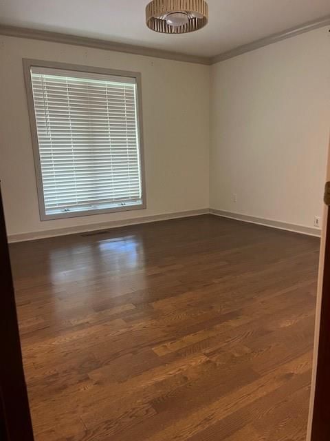 1000 Main Road — photo 19