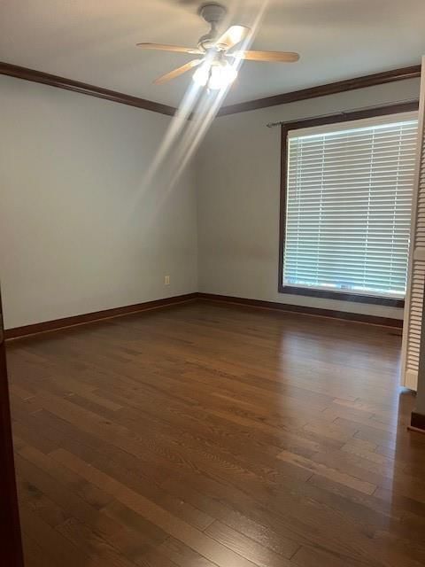 1000 Main Road — photo 21