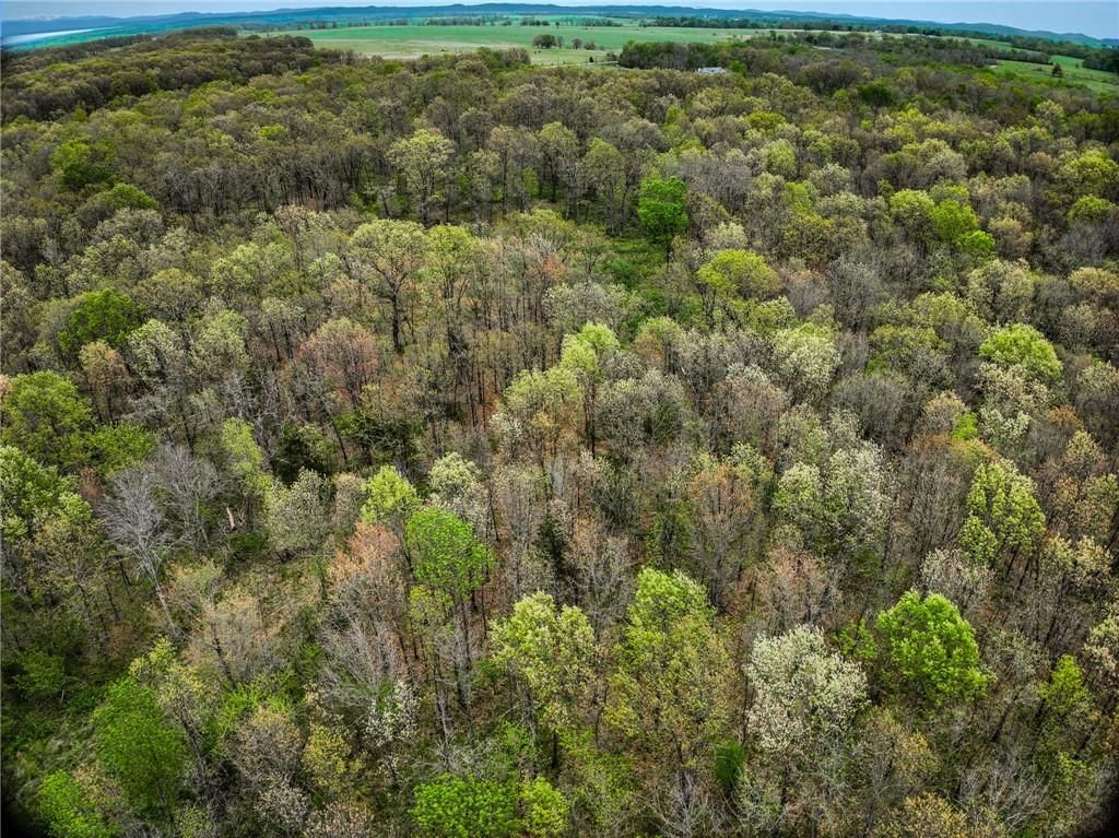 Lot 2 S 725 Road — photo 17