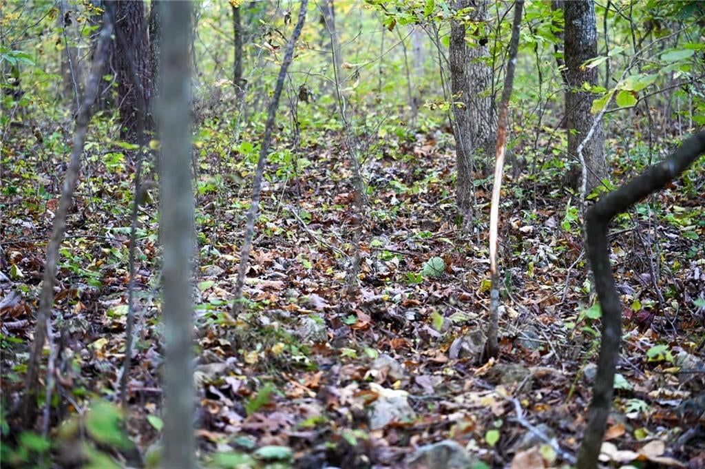 Lot 2 S 725 Road — photo 30