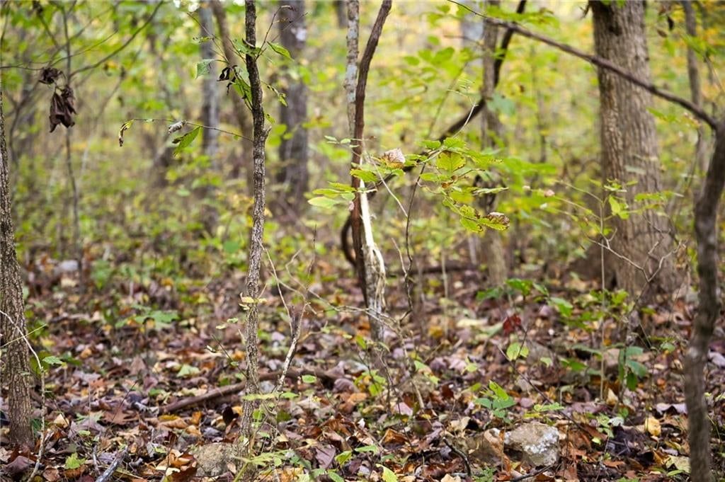 Lot 2 S 725 Road — photo 31