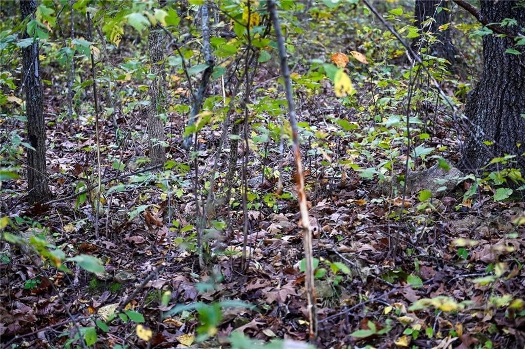 Lot 2 S 725 Road — photo 35