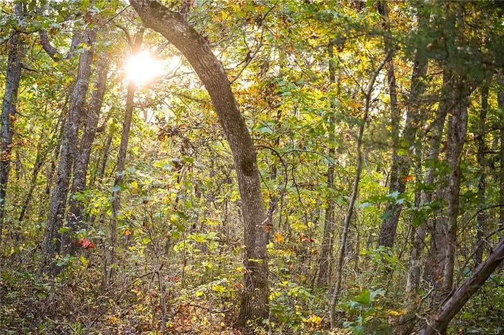 Lot 2 S 725 Road — photo 40